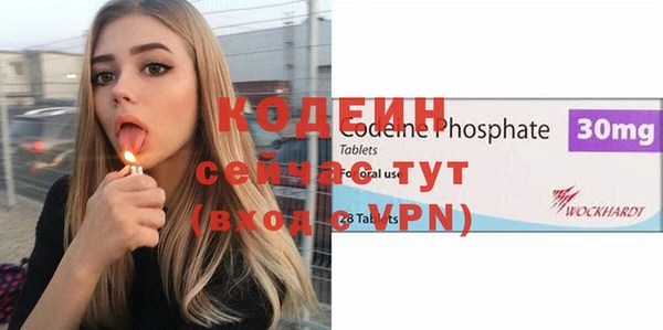 хмурый Алзамай
