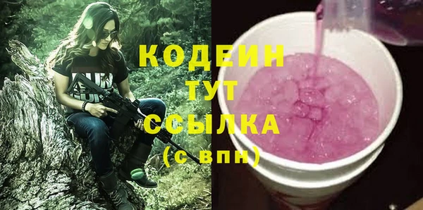 хмурый Алзамай