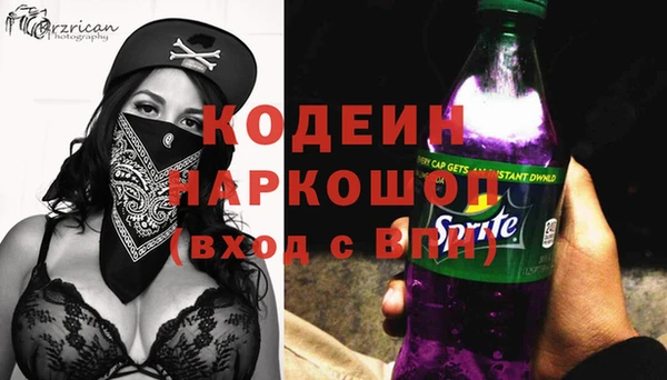 хмурый Алзамай