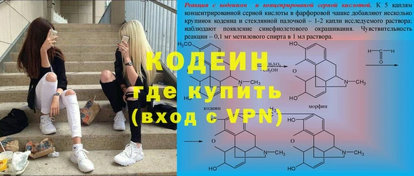 хмурый Алзамай