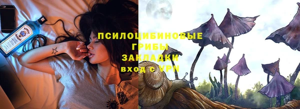 хмурый Алзамай