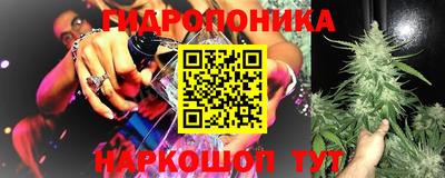 шишки Бийск