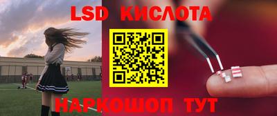 шишки Бийск