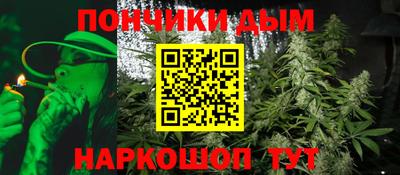 шишки Бийск