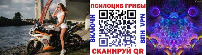 наркота  Киров  Псилоцибиновые грибы Psilocybine cubensis 