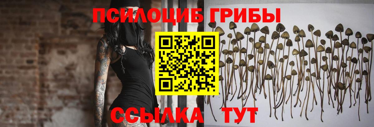Киров  Галлюциногенные грибы MAGIC MUSHROOMS  Вход с VPN 