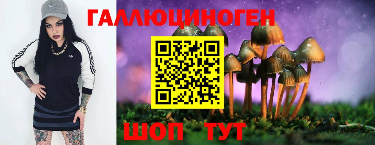 Галлюциногенные грибы GOLDEN TEACHER Киров